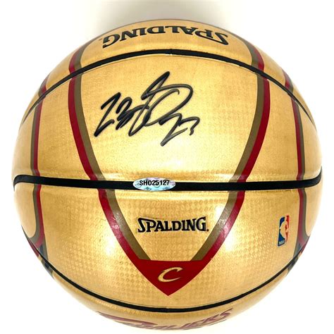 lebron autograph basketball